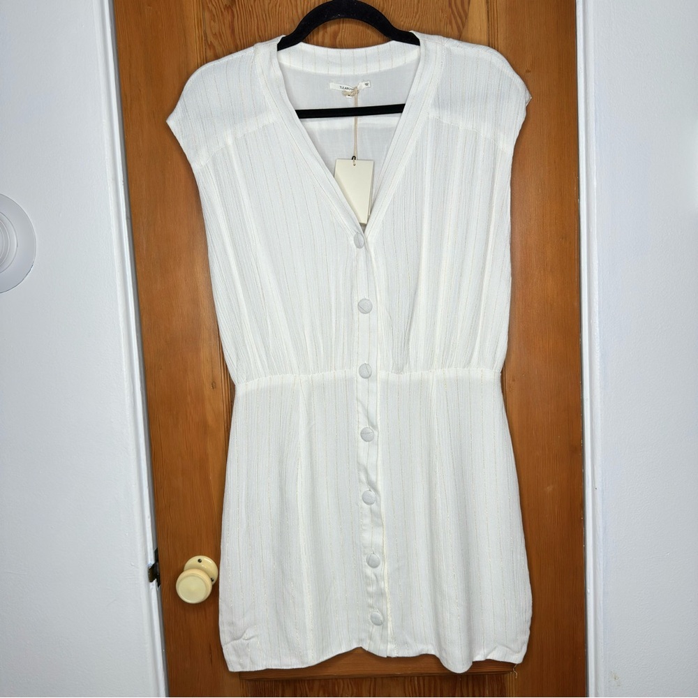 tularosa metallic gold stripe sleeveless mini dress